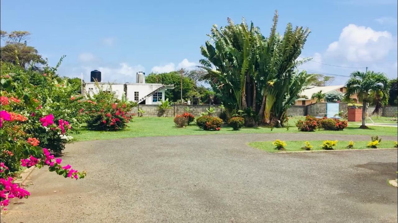 Kevin'S Court Hotel Carnbee Village Exterior photo